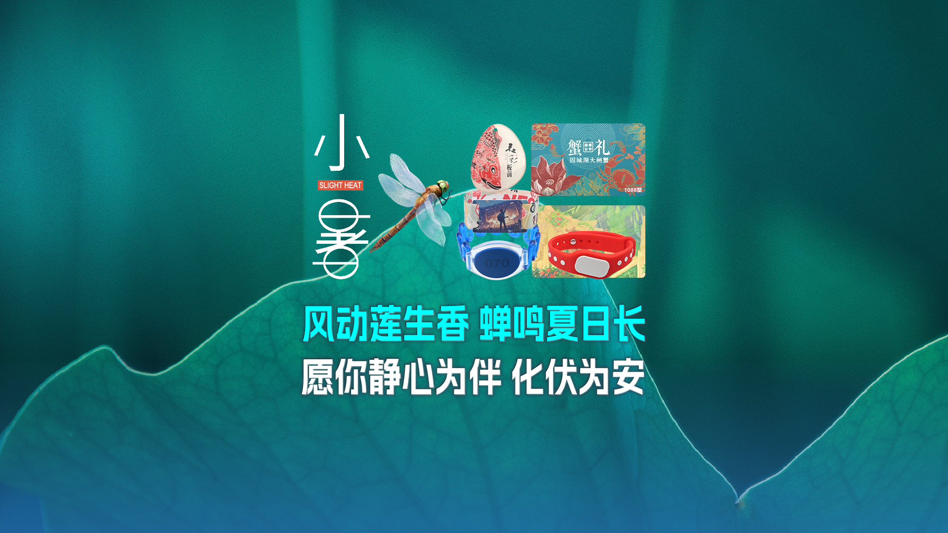 小暑至，卡立方集团RFID物联网产品热度攀升