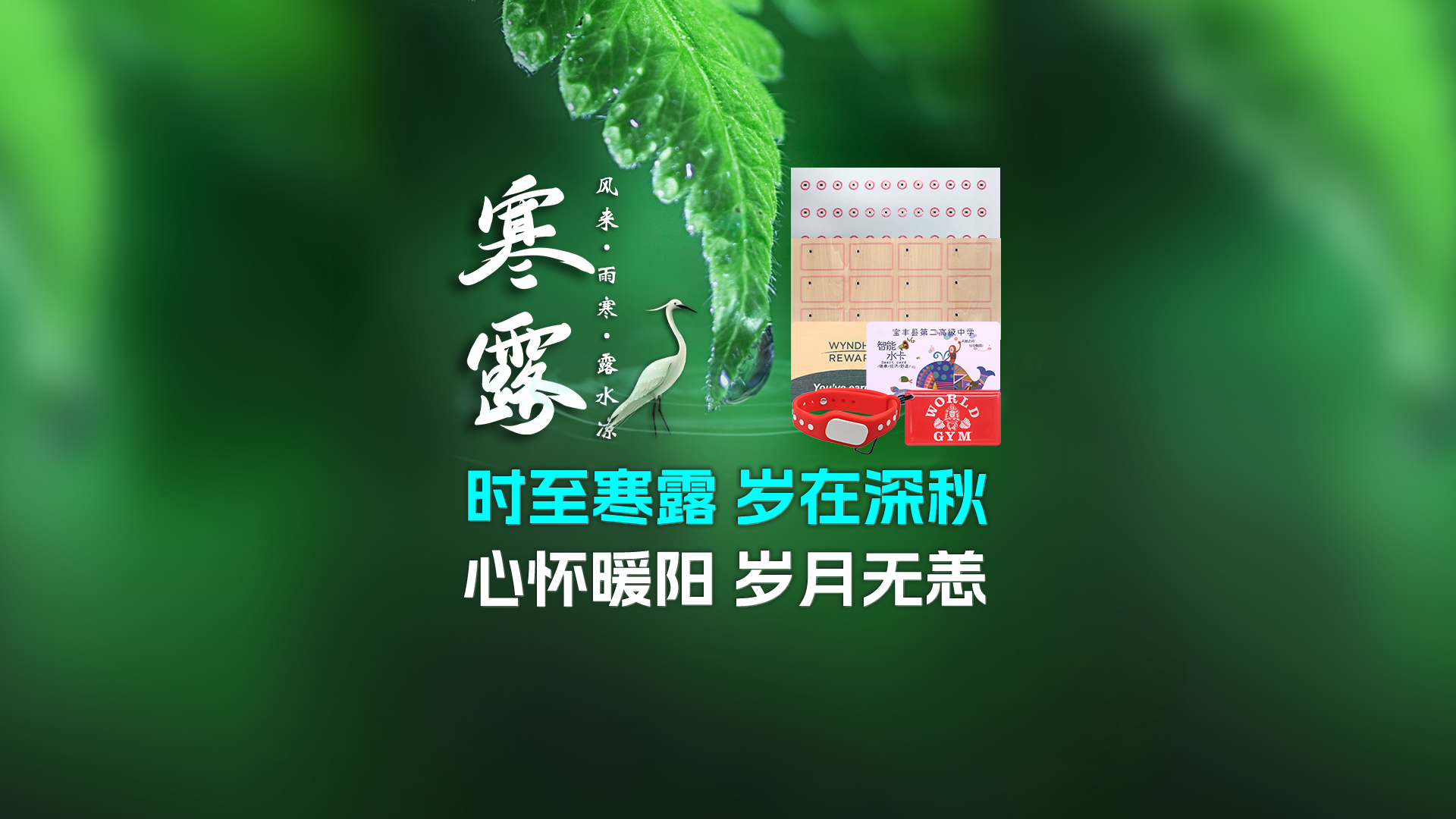 微信图片_20250929105628_451_127