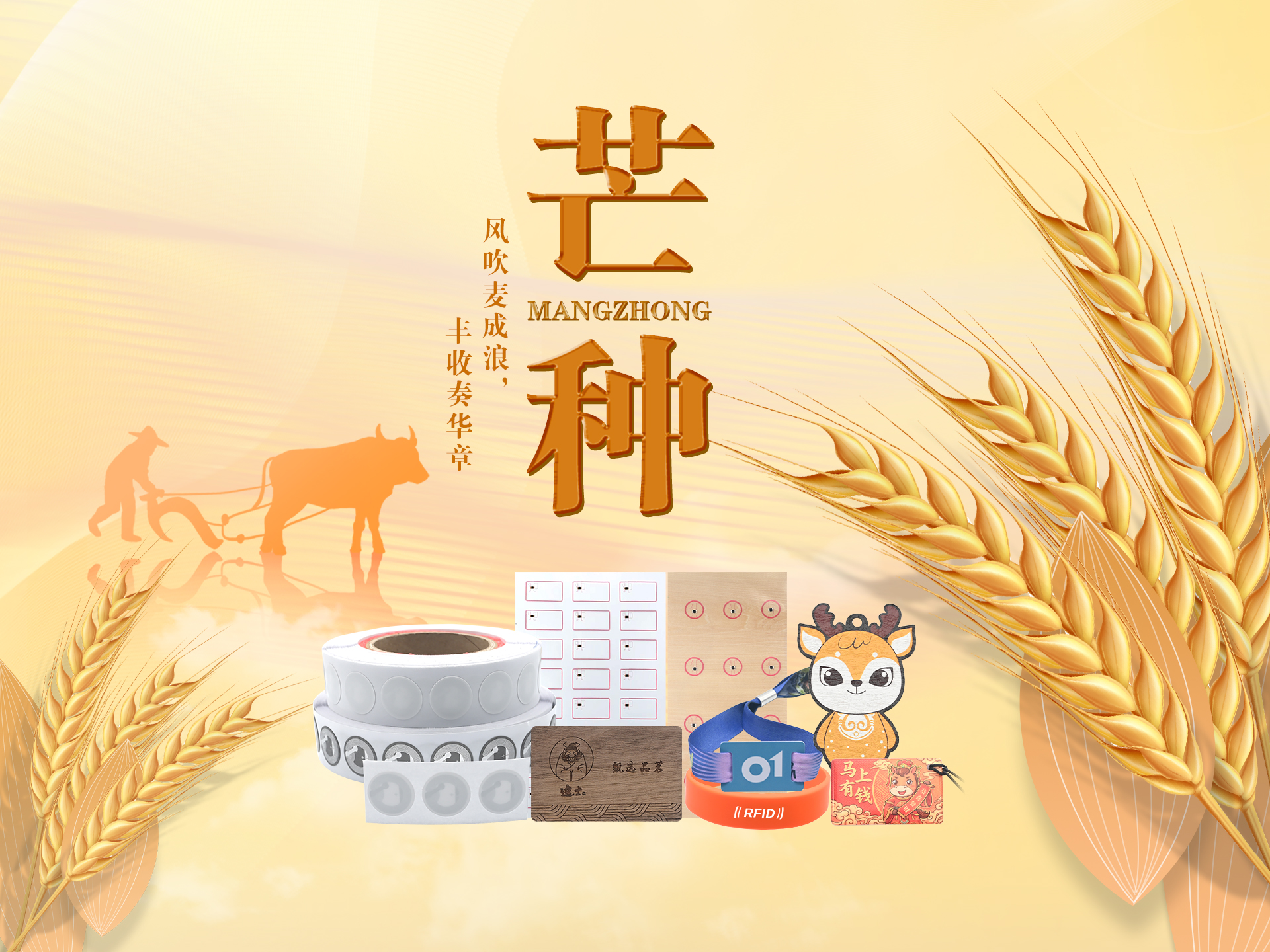 微信图片_20260602153937_5433_127 微信图片_20260602153937_5433_127