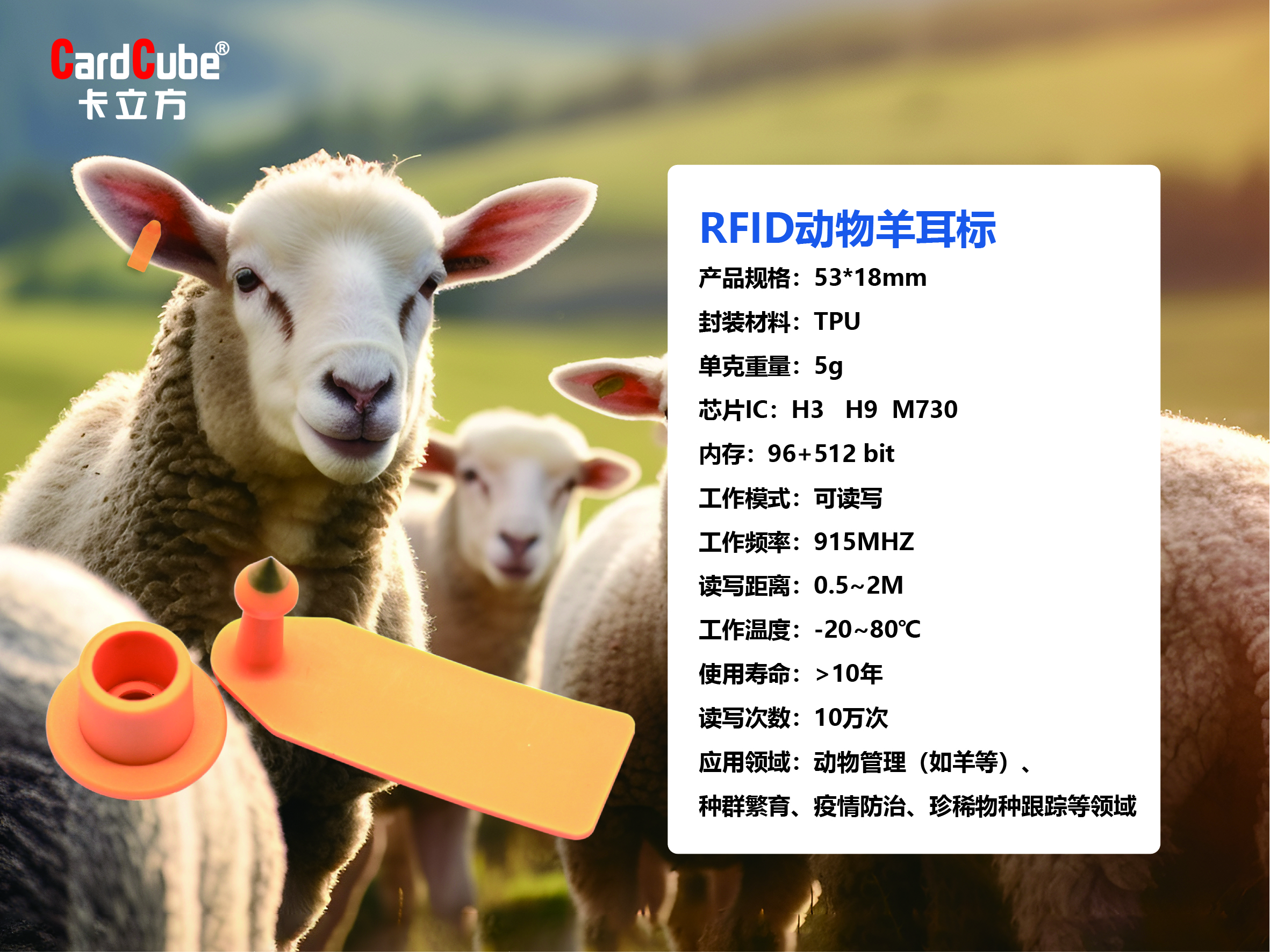 fe5136e6037c29 fe5136e6037c29