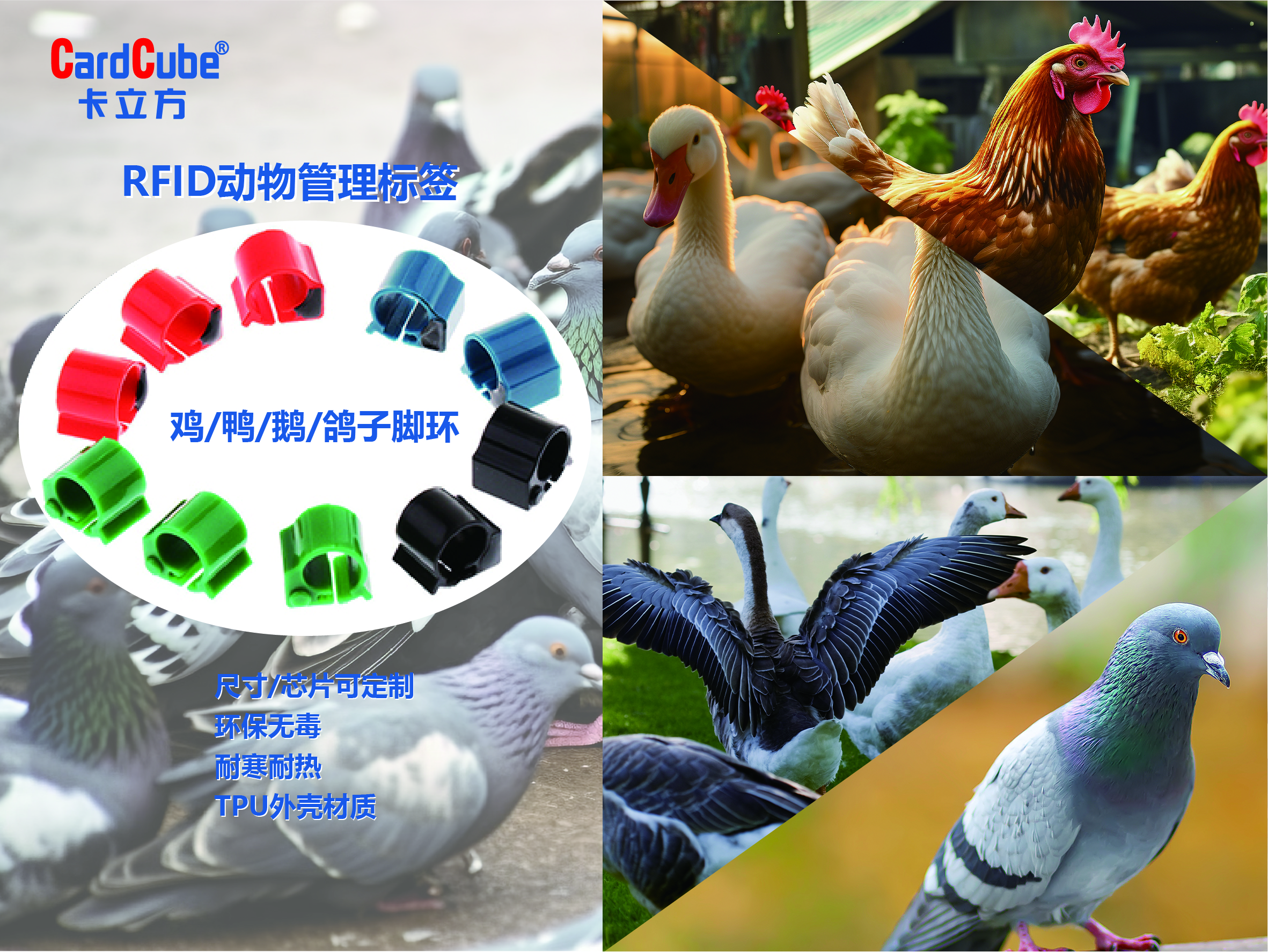 f1c5deac96b7644 f1c5deac96b7644